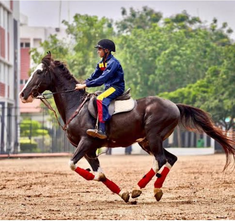 Apple Horse Riding Academy